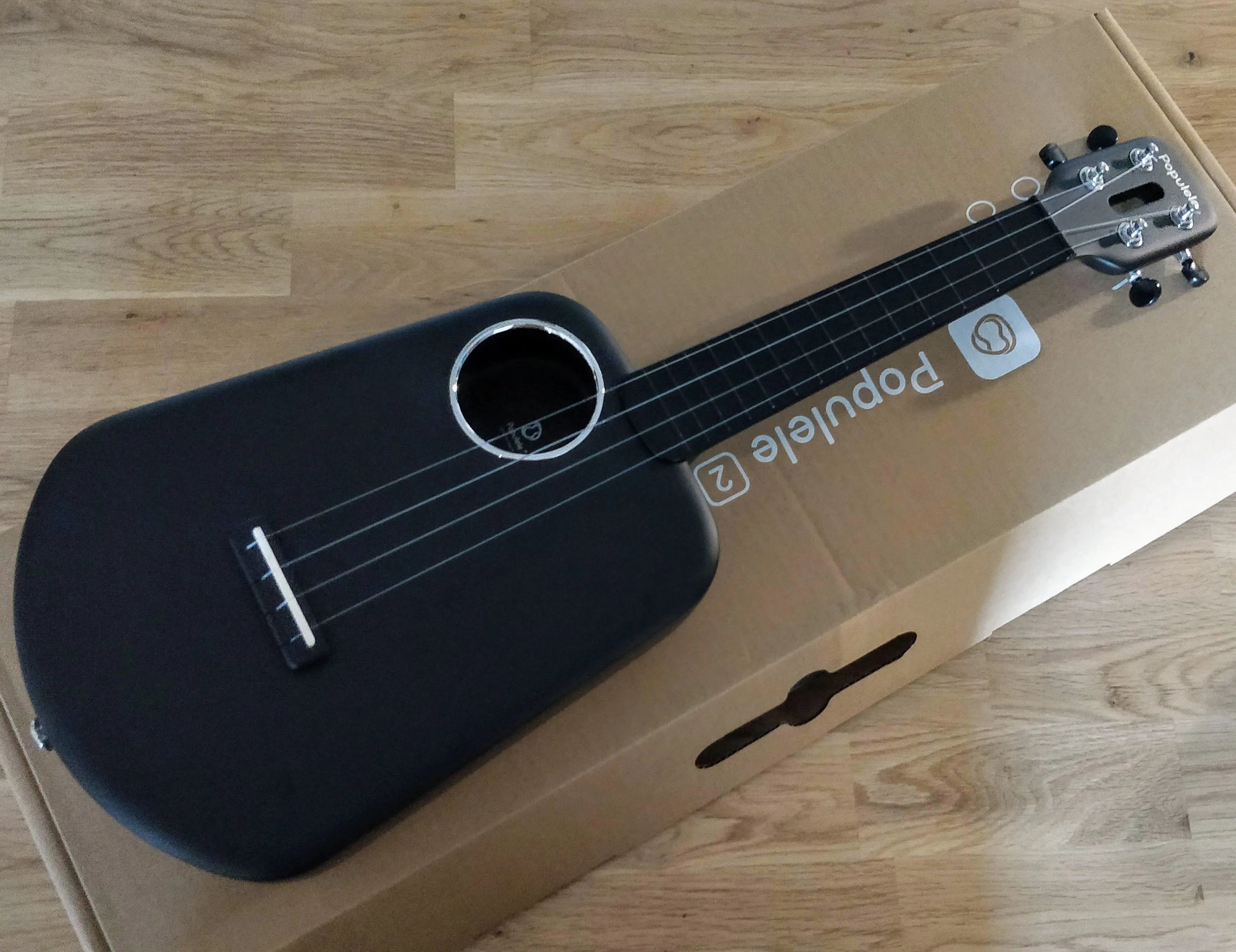 Xiaomi Mijia Populele 2
